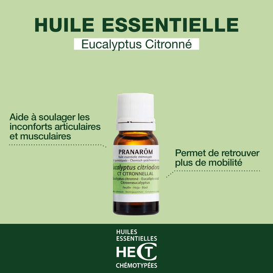 HUILE ESSENTIELLE EUCALYPTUS CITRONNE