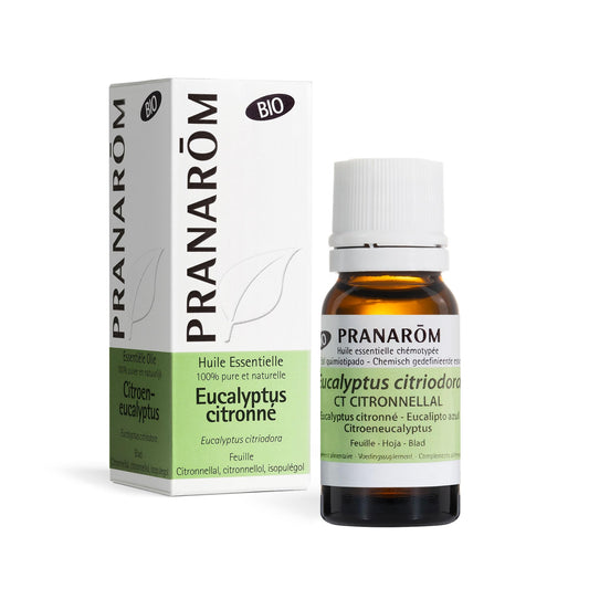 HUILE ESSENTIELLE EUCALYPTUS CITRONNE